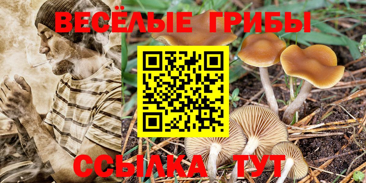 Галлюциногенные грибы GOLDEN TEACHER Гуково